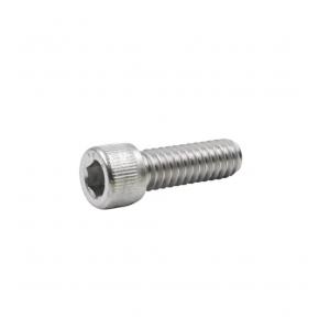 Coverpools Screw 10-32 x 3/4" SHMS SS (attaches single dogs)