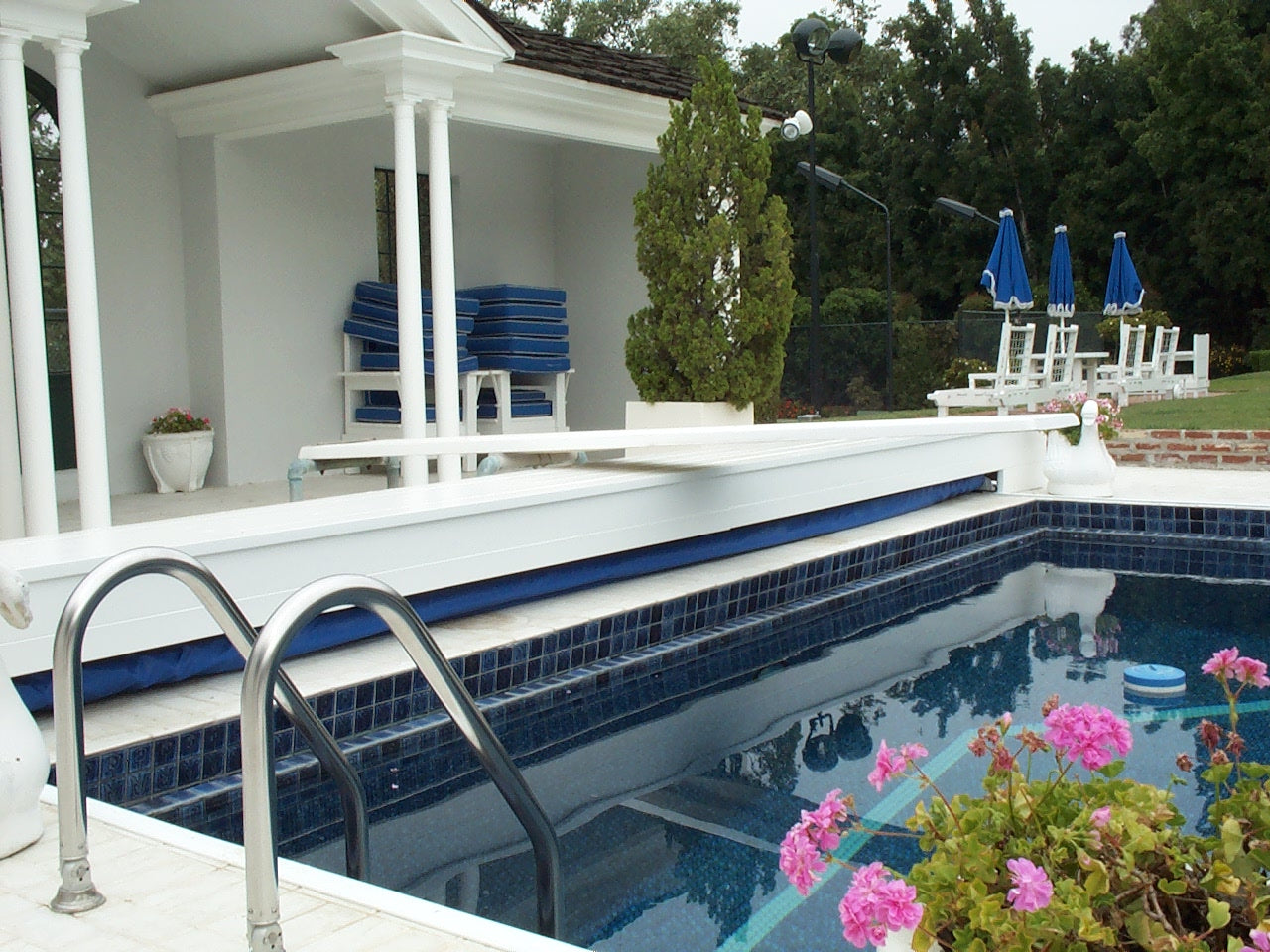 Coverstar Ladder Hinge (Deck To Tube) (Set)