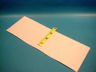 Webbing Dacron Sewn 3 1/2" (White) (per/ft)